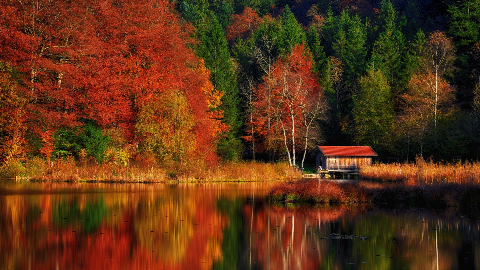 Autumn Scenery Wallpaper 4K, Lakeside, Colourful, Forest, Reflection, Nature