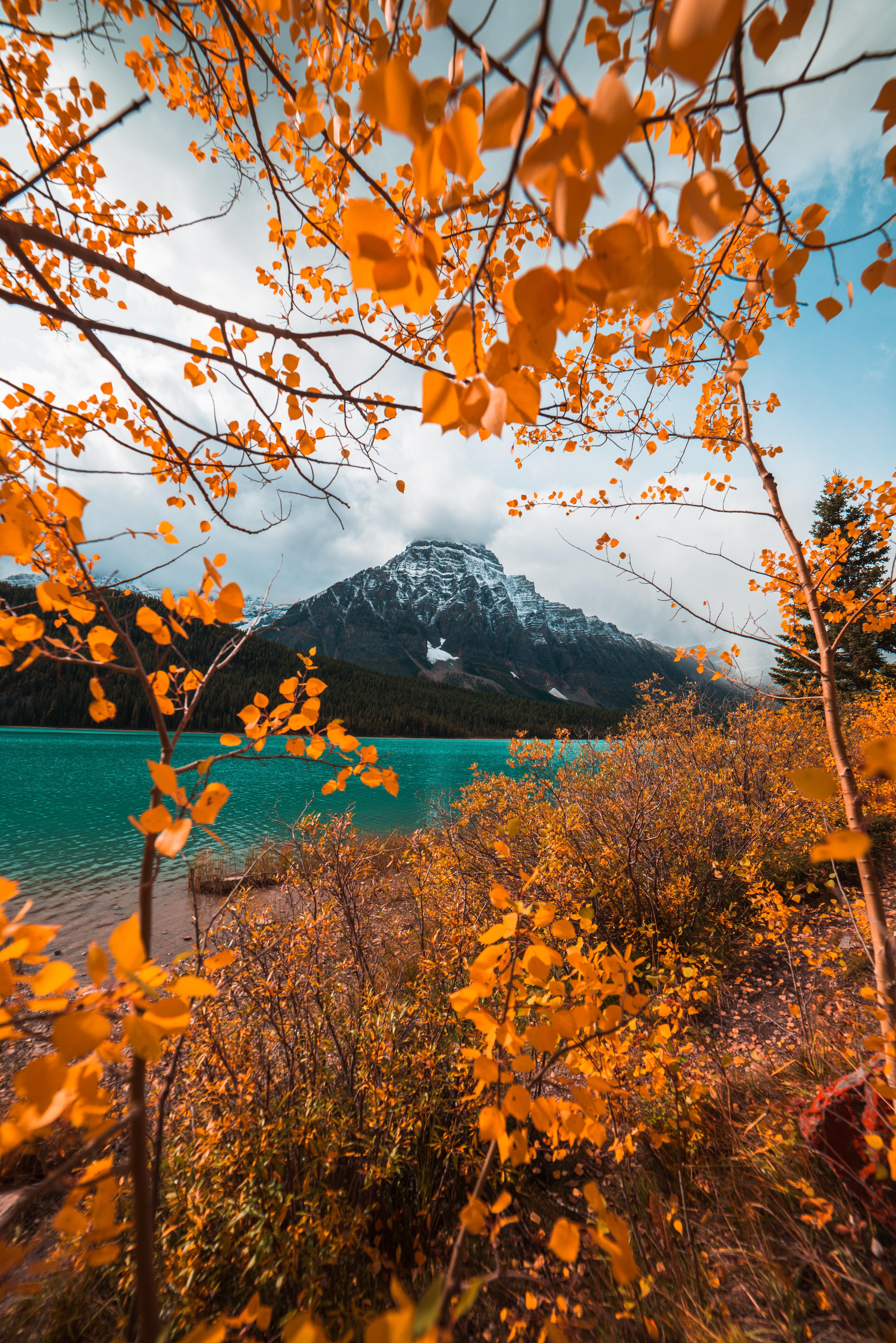 Autumn framing a pretty mountain Waterfowl Lakes Alberta Canada [OC][4912 x 7360]. Fall landscape photography, Fall photography nature, Autumn landscape