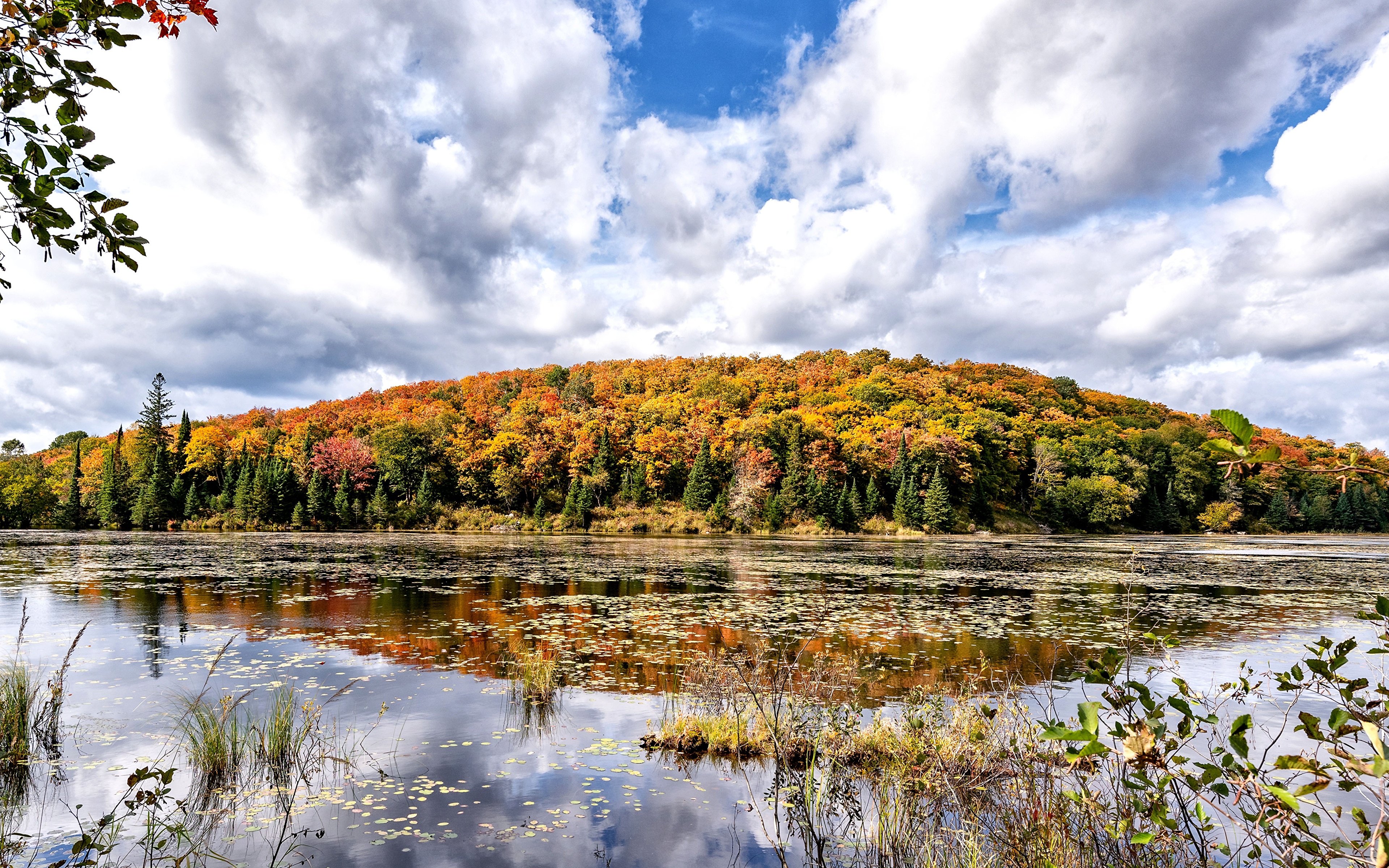 image Canada Ontario Autumn Nature Lake Forests 3840x2400