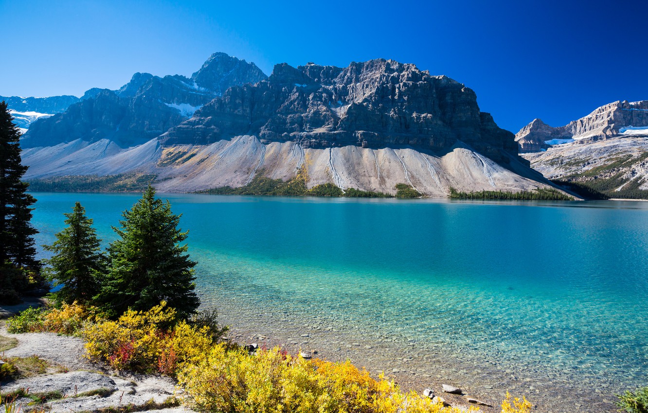 Wallpaper autumn, trees, mountains, lake, Canada, Albert, Bow Lake image for desktop, section природа