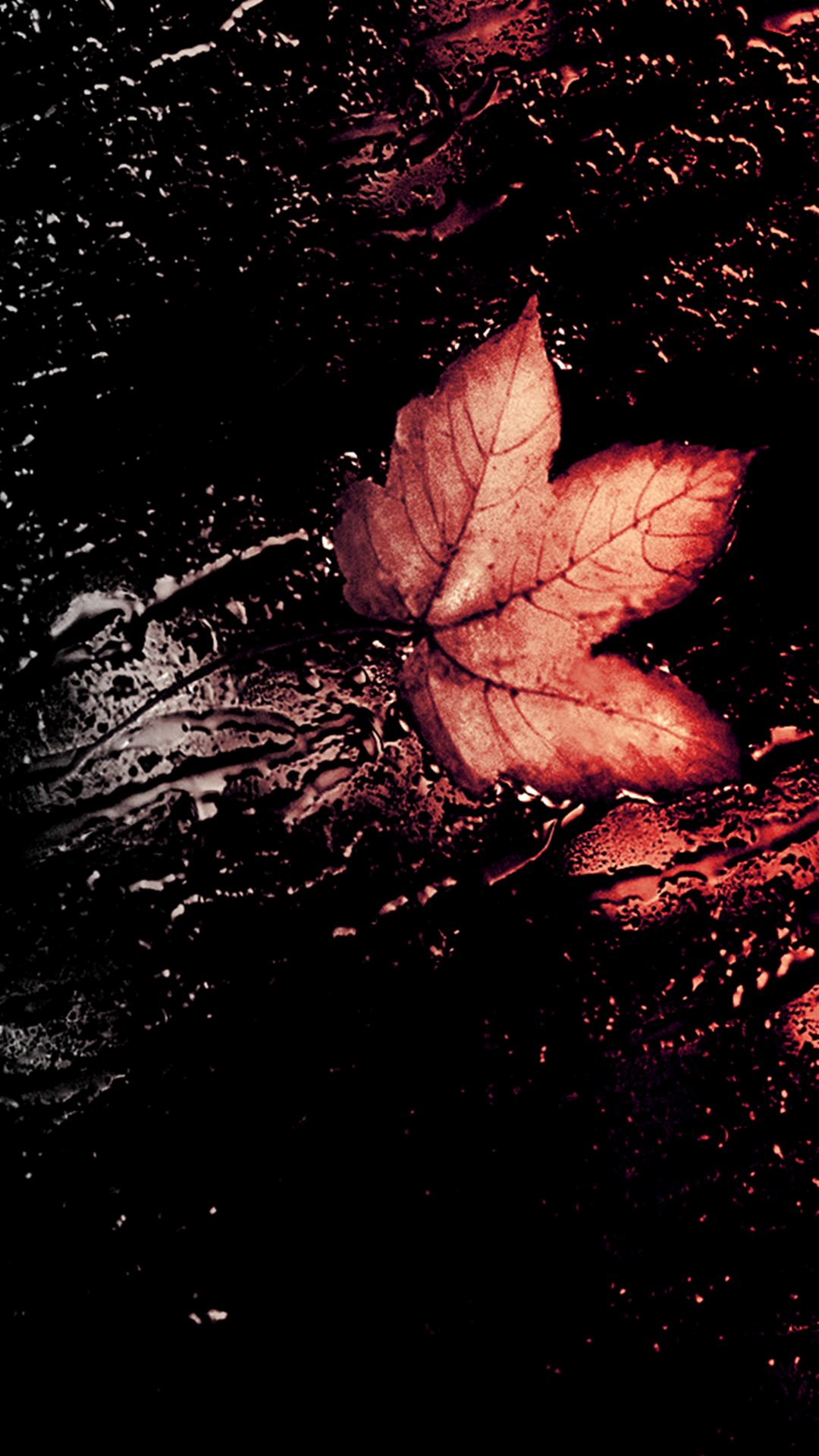 Autumn Leave. Fall wallpaper, Fall wallpaper tumblr, iPhone 6 wallpaper
