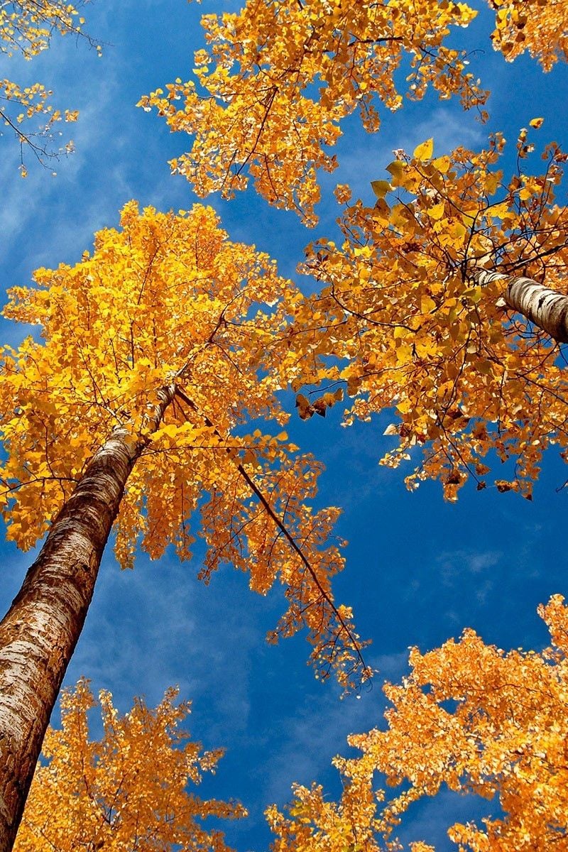 Autumn Sky Wallpapers - Wallpaper Cave