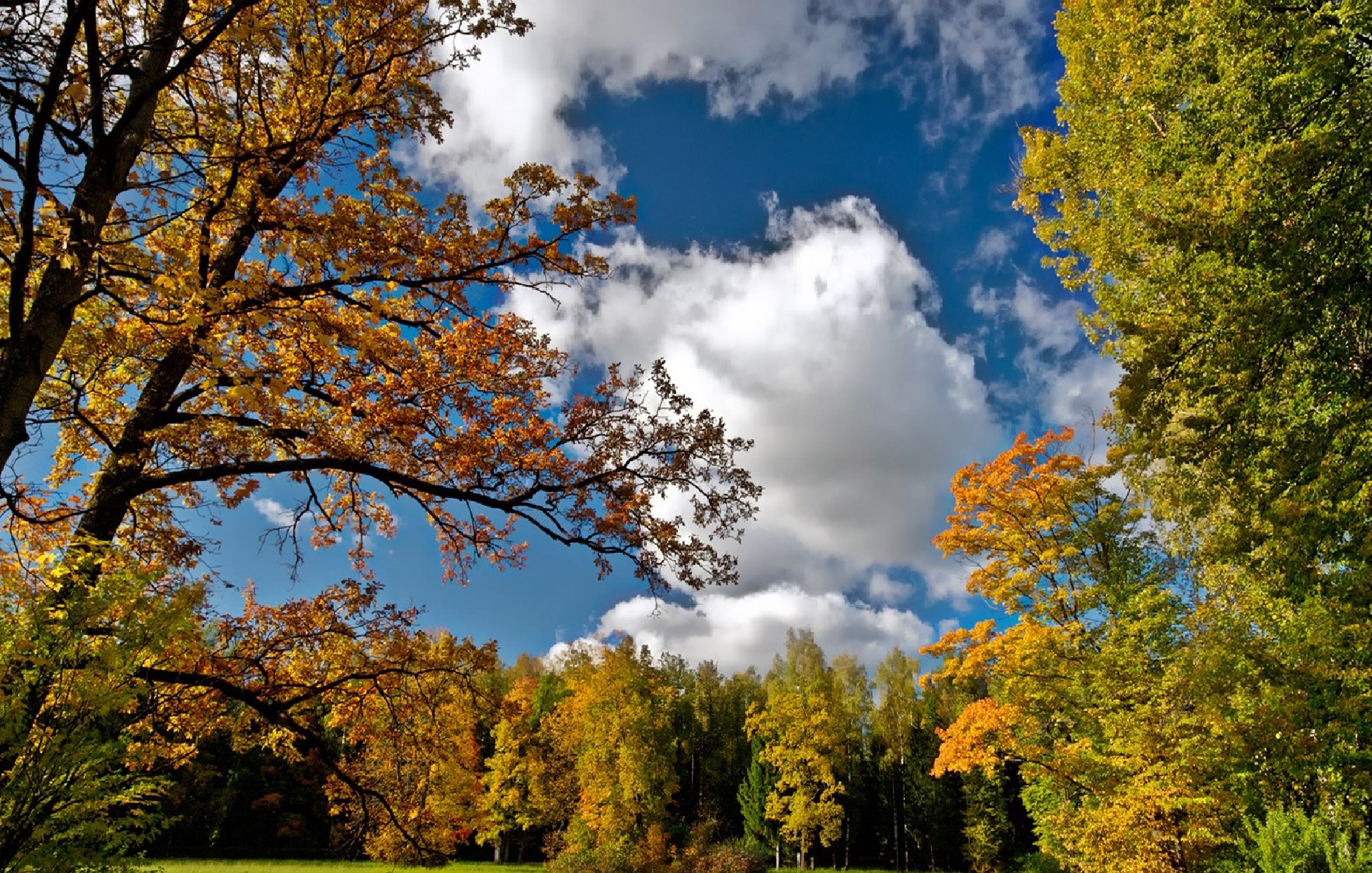 Download wallpaper 2124x1352 autumn, sky, trees, landscape HD background