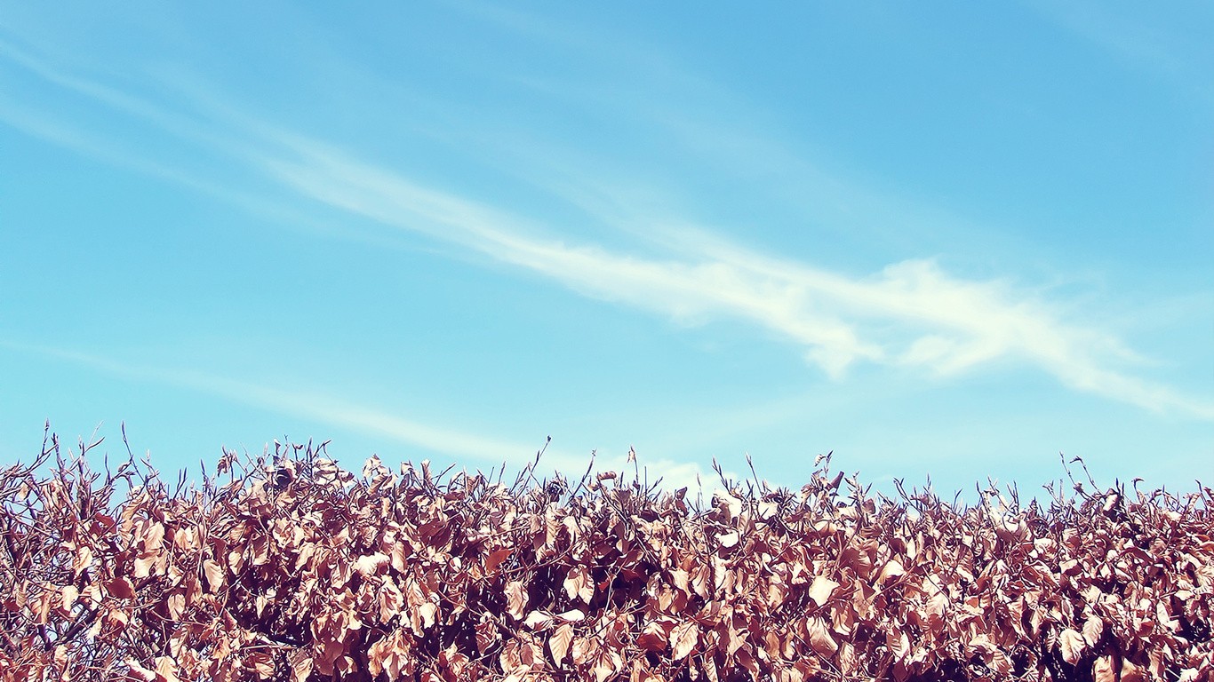 Autumn Sky desktop PC and Mac wallpaper