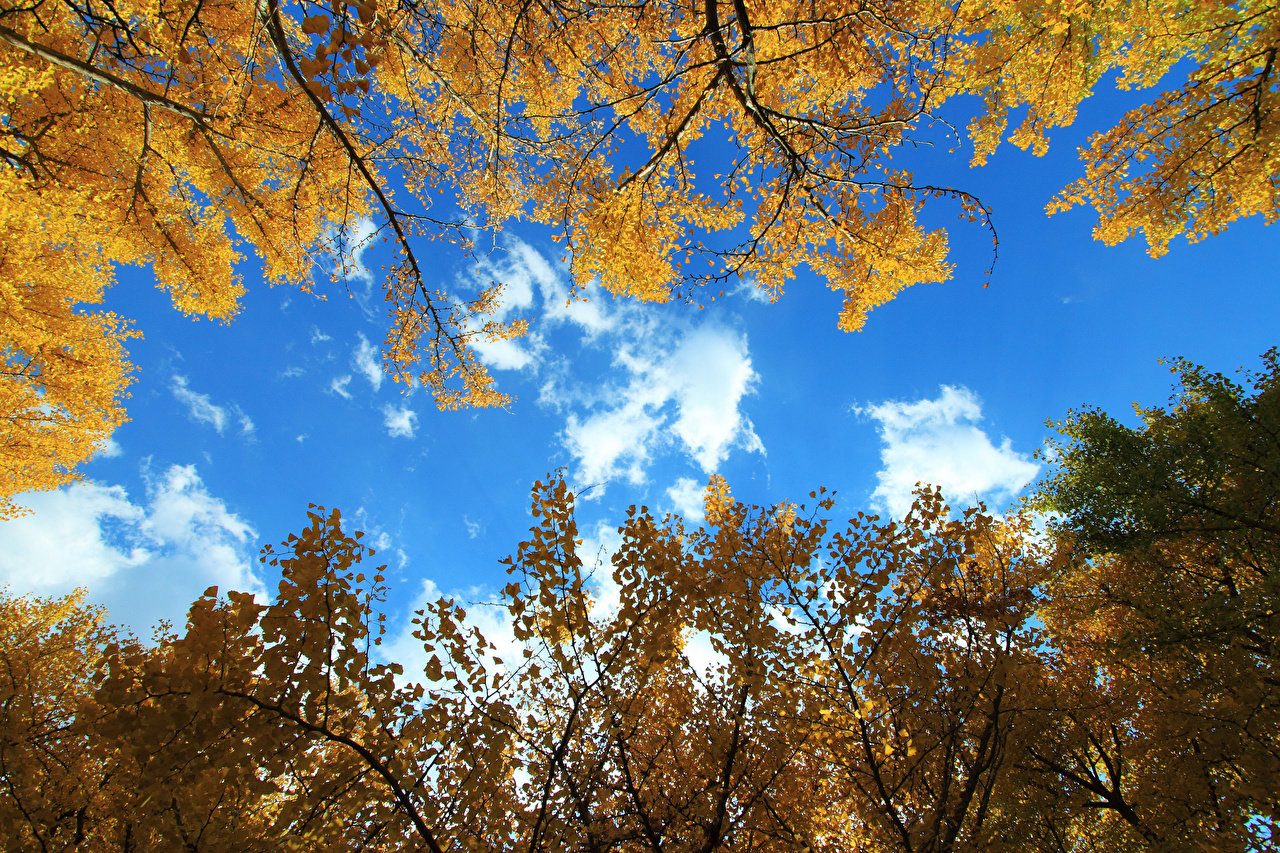 Autumn Sky Wallpapers - Wallpaper Cave