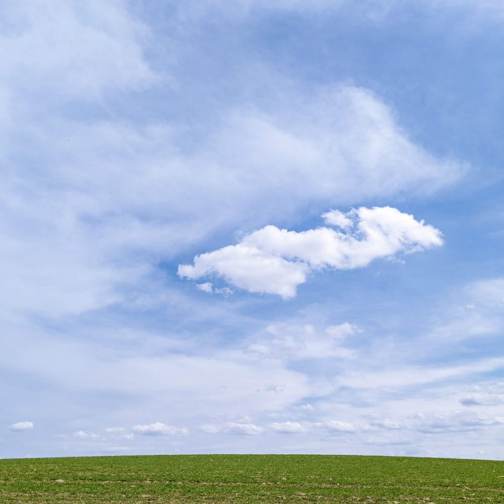 Grass And Sky Picture. Download Free Image