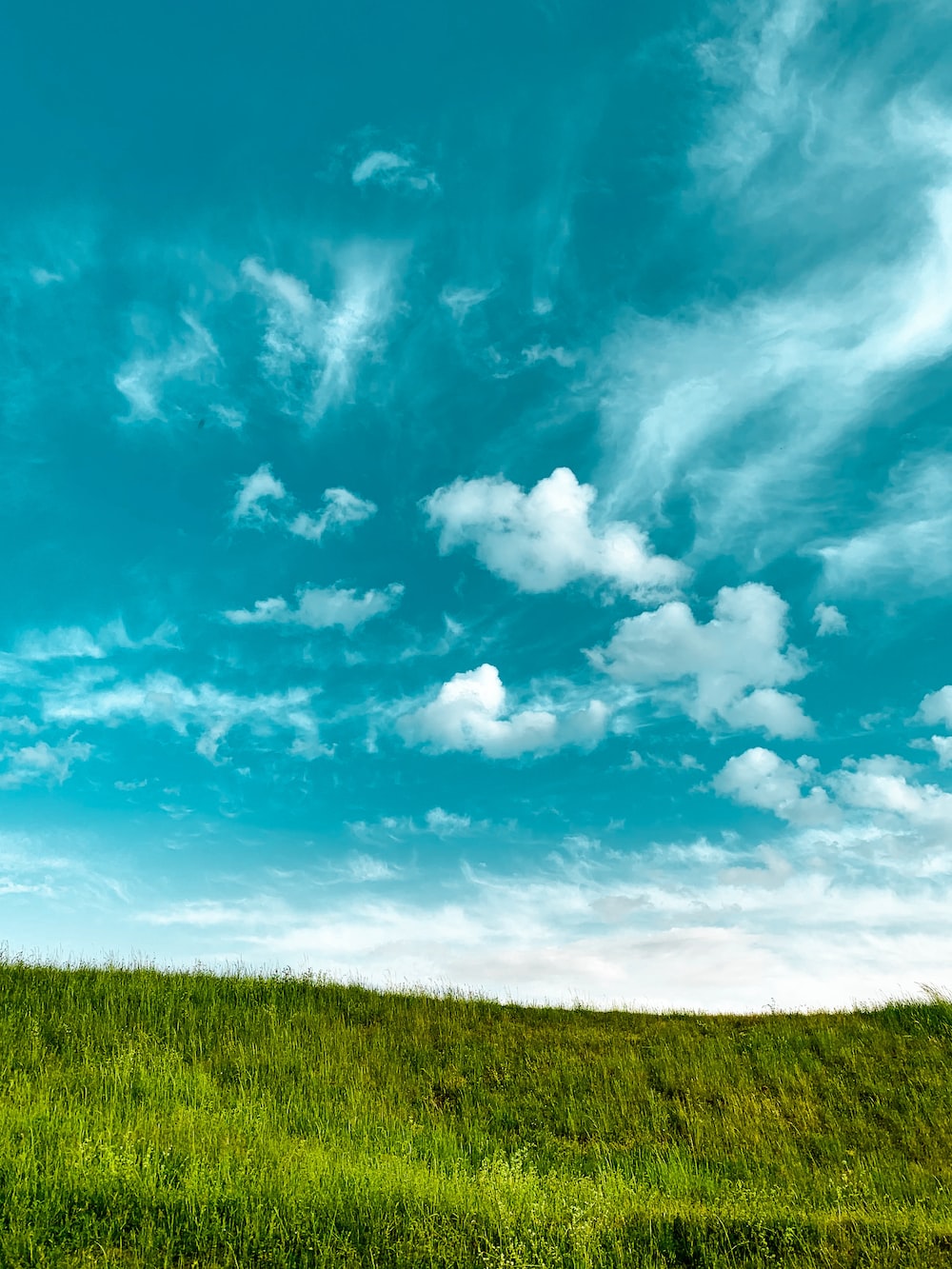Grass And Sky Picture. Download Free Image