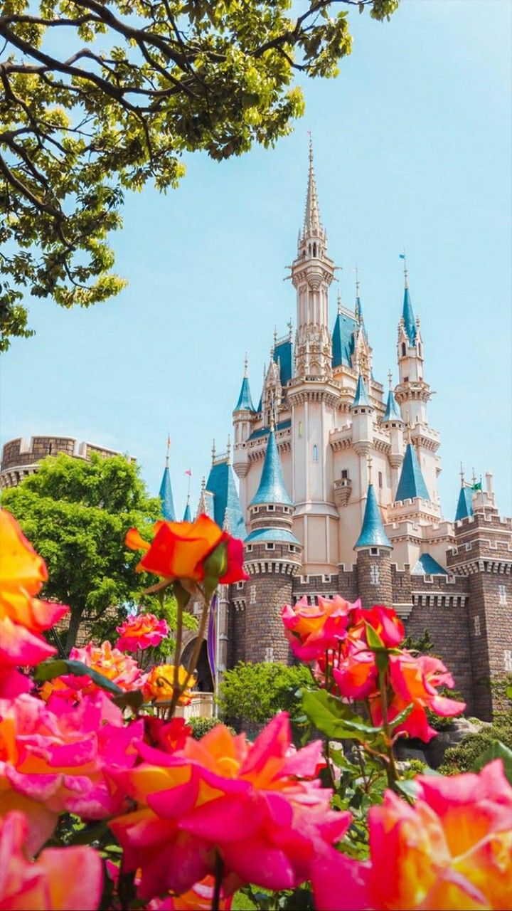 《wallpaper. Disneyland, Disneyland picture, Disneyland photo