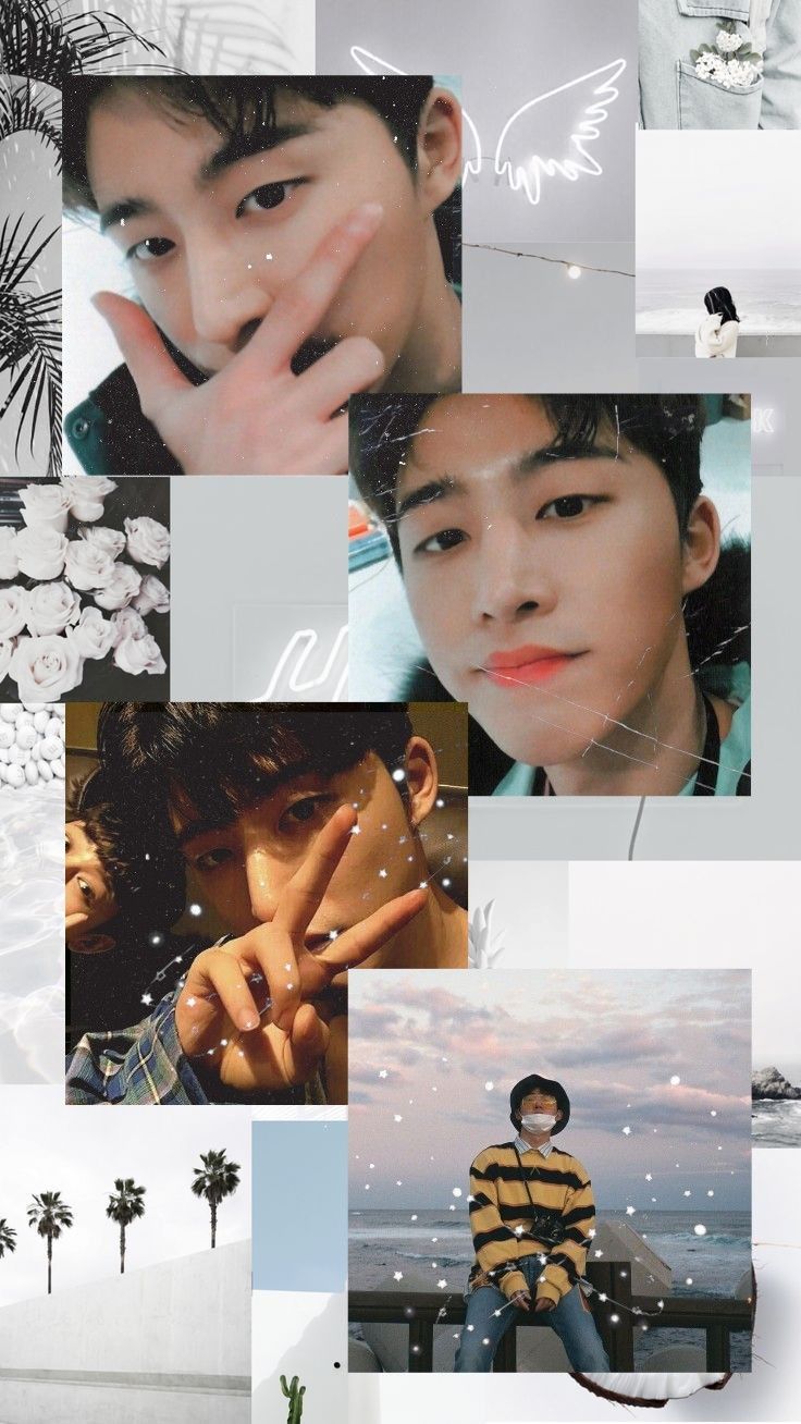 B.i wallpaper. Wallpaper ponsel, Gambar, Wallpaper lucu