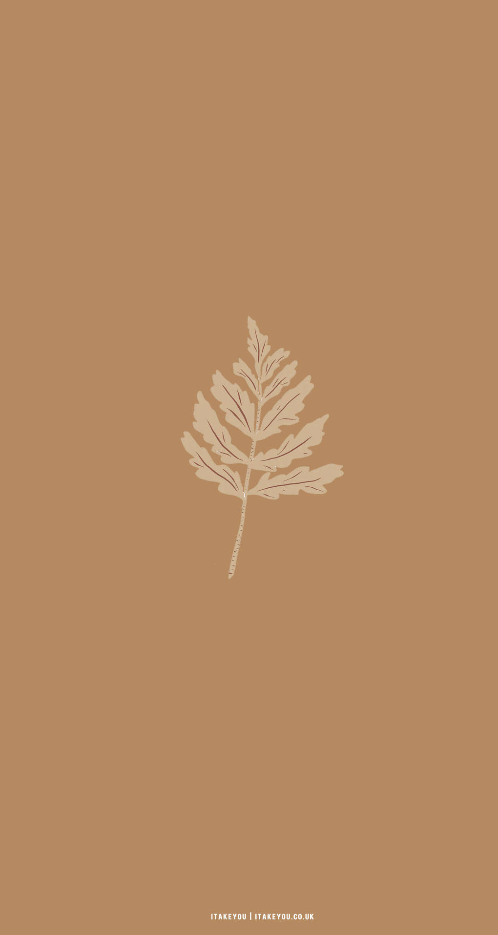 Download Beige Brown Aesthetic Maple Leaf Wallpaper