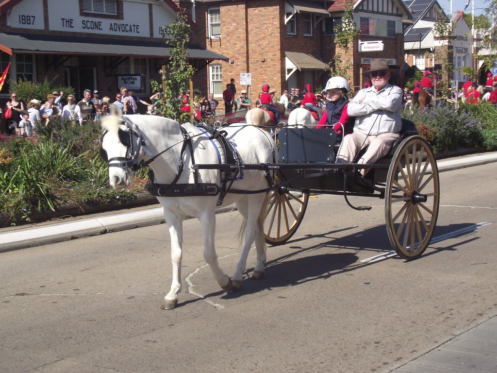 Horses Pulling Wagon Wallpapers - Wallpaper Cave