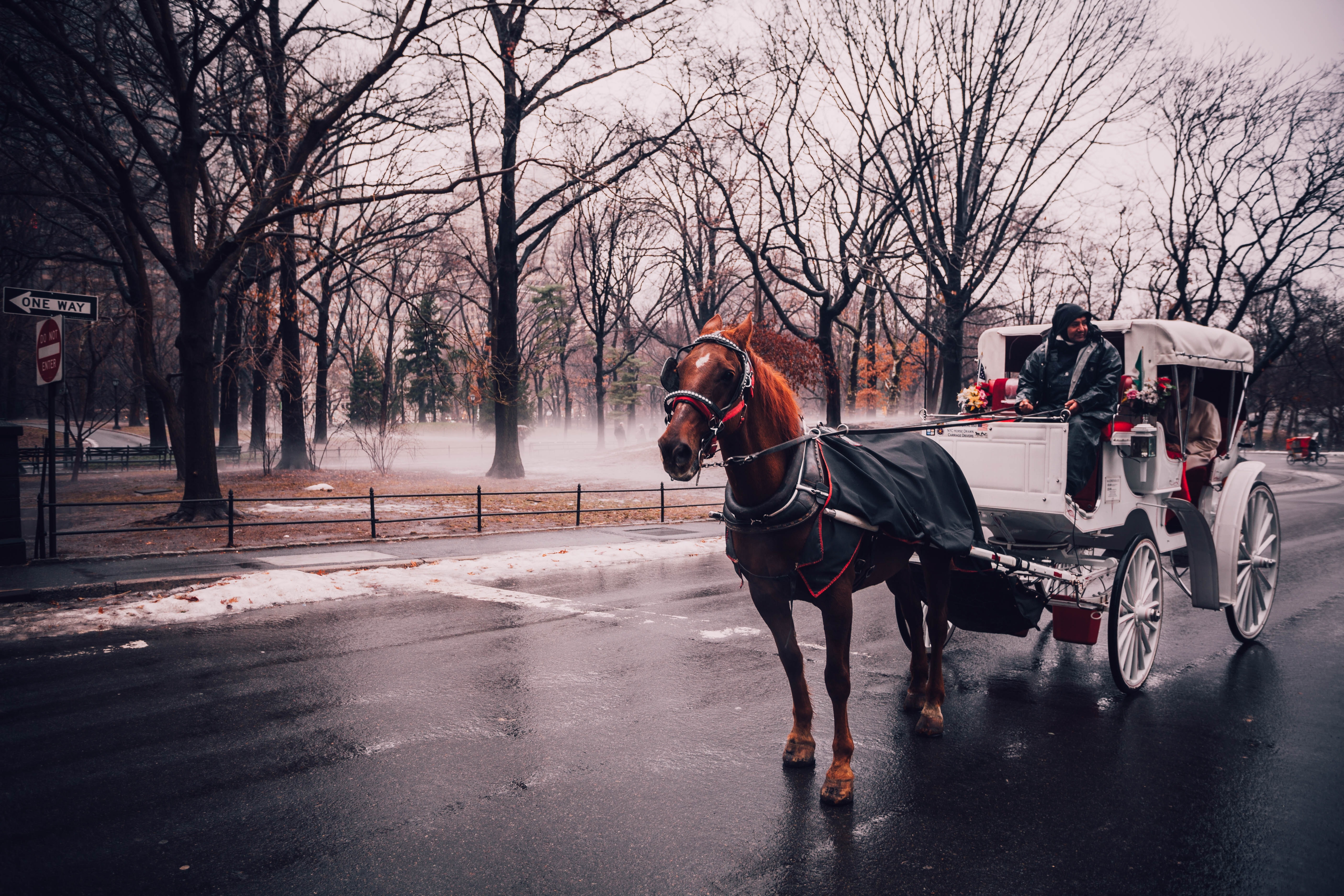 Carriage Photo, Download Free Carriage & HD Image