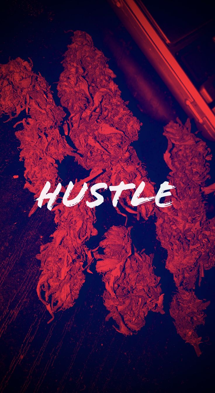 Hustle wallpaper (buds). Thug life wallpaper, Hustle quotes, Words wallpaper