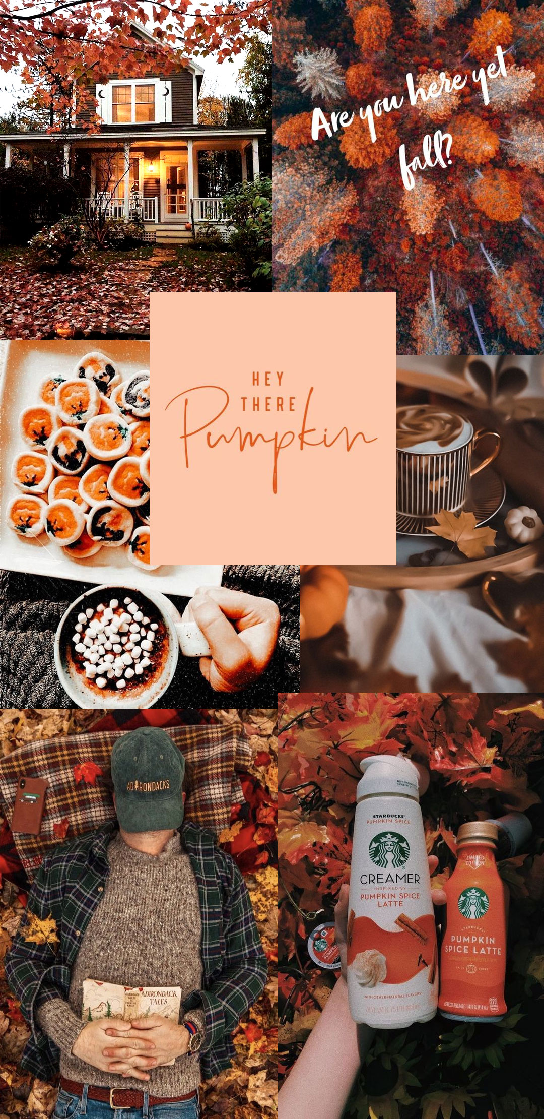 Autumn Collage Wallpaper, Hey There Pumpkin Wallpaper