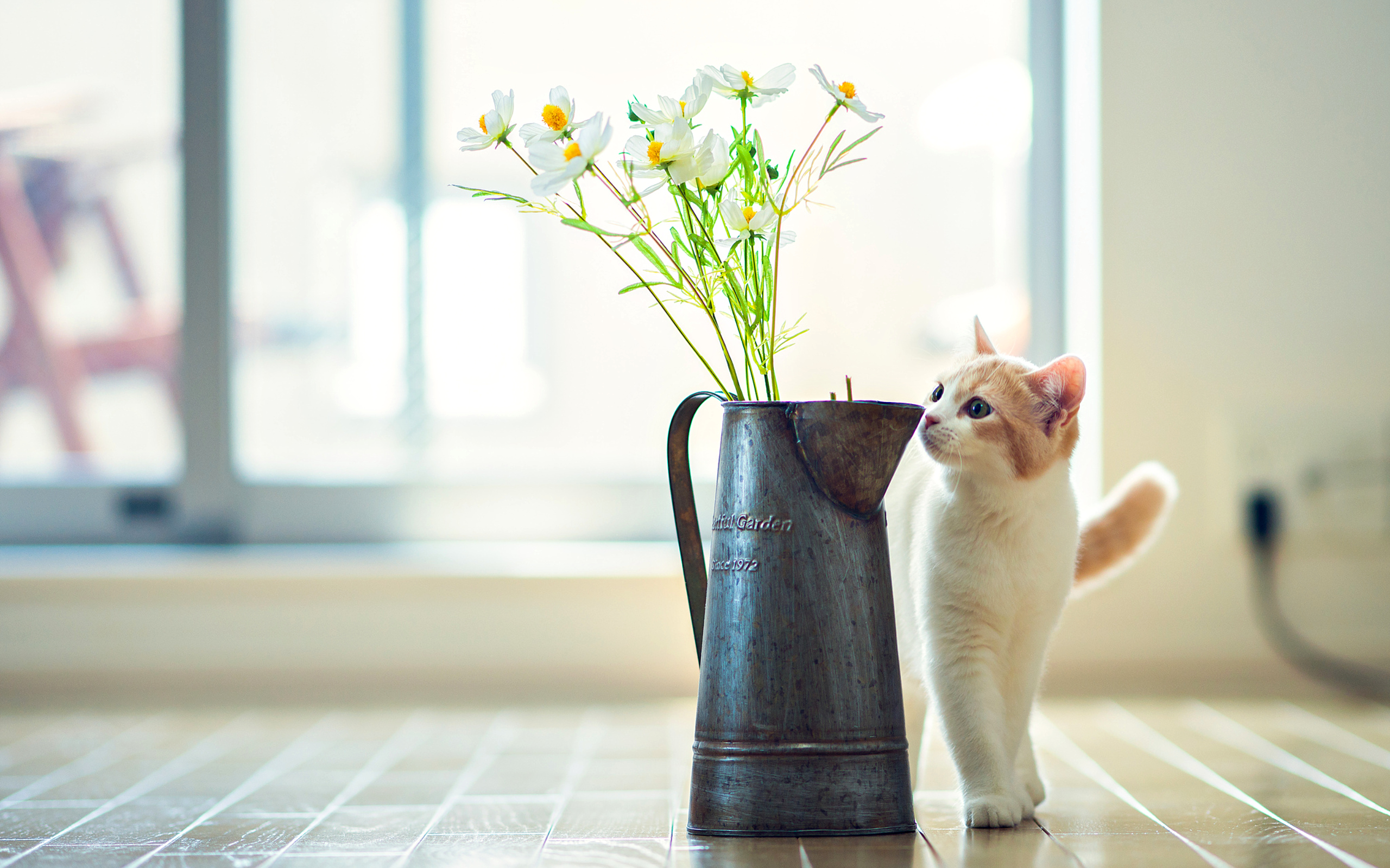 Cat Flower Vase