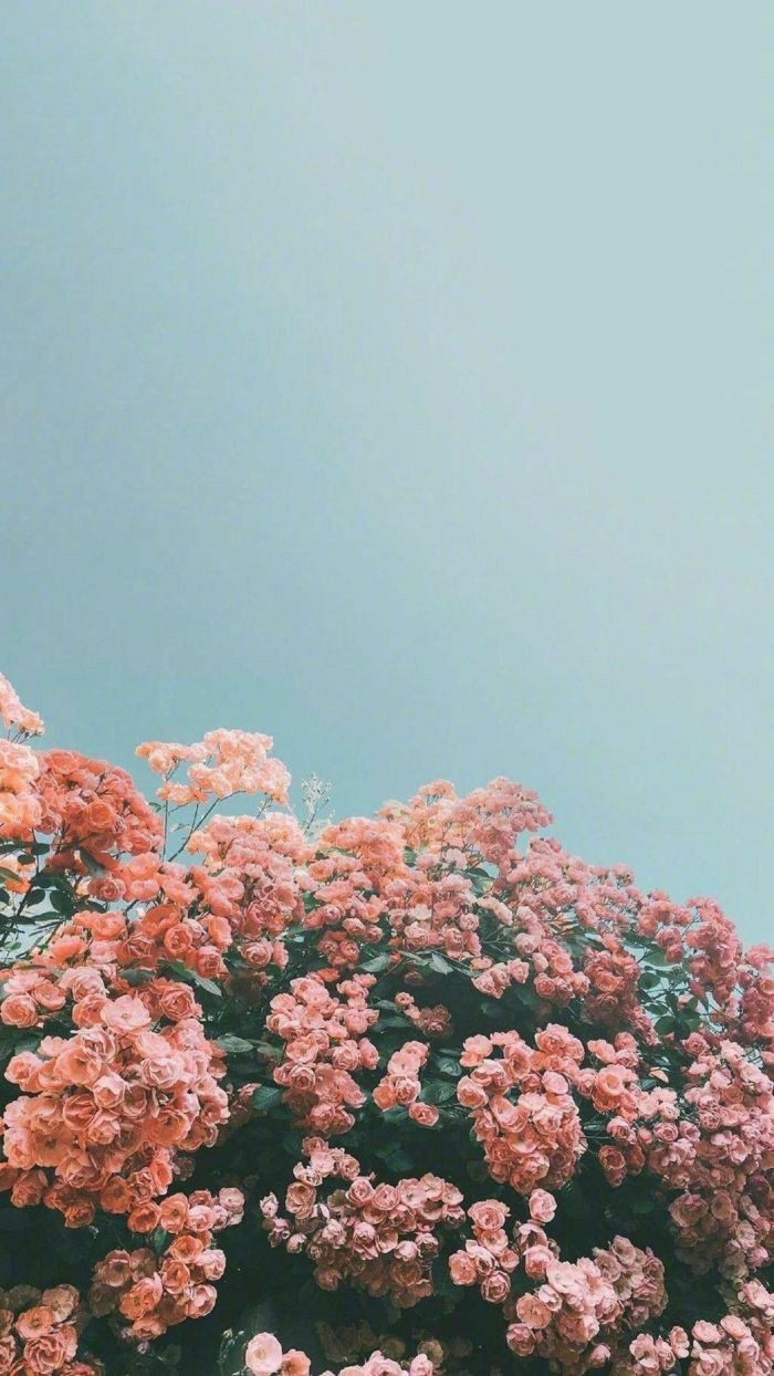 freetoedit #remixit #flowers #pink #blue #sky #summer #spring #vibes #vintage #edit #aesthetic #back. Aesthetic painting, Summer wallpaper, Desktop wallpaper art