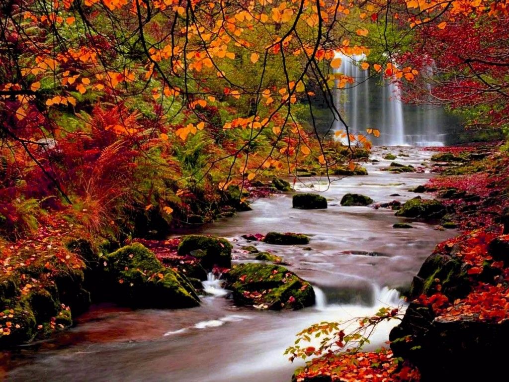 High Resolution Fall Wallpaper