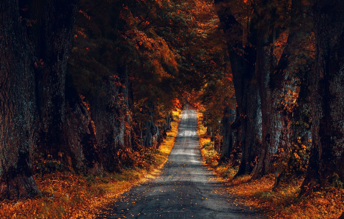 Autumn Large Wallpapers - Wallpaper Cave