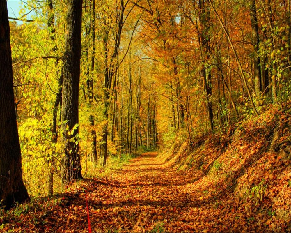 Beibehang Large 3D Wallpaper Full Of Leaves Autumn Forest 3D Landscape Home Decoration Painting 3D Living Room Wallpaper Mural