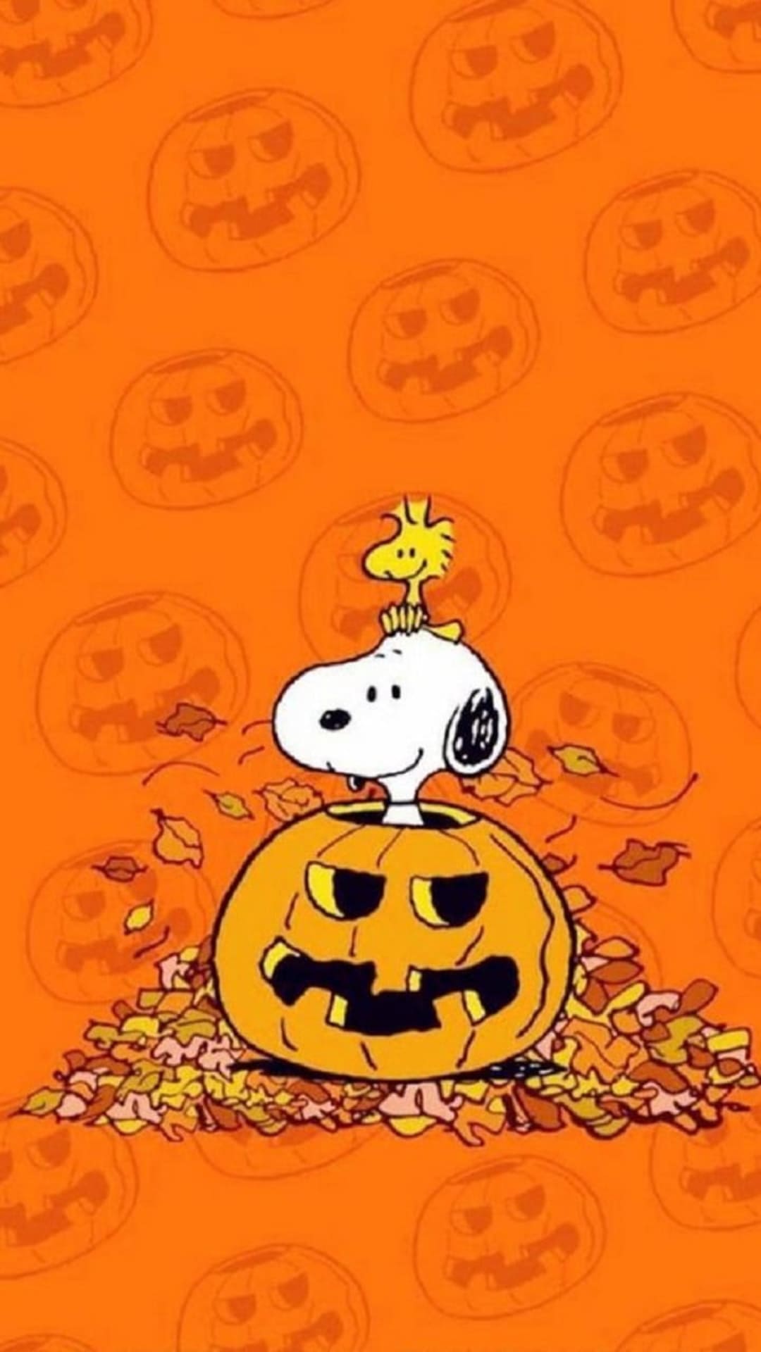 Halloween Wallpaper [ New & Latest ]