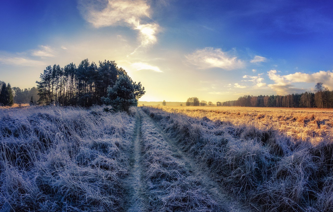 Wallpaper frost, road, field, autumn, morning image for desktop, section природа