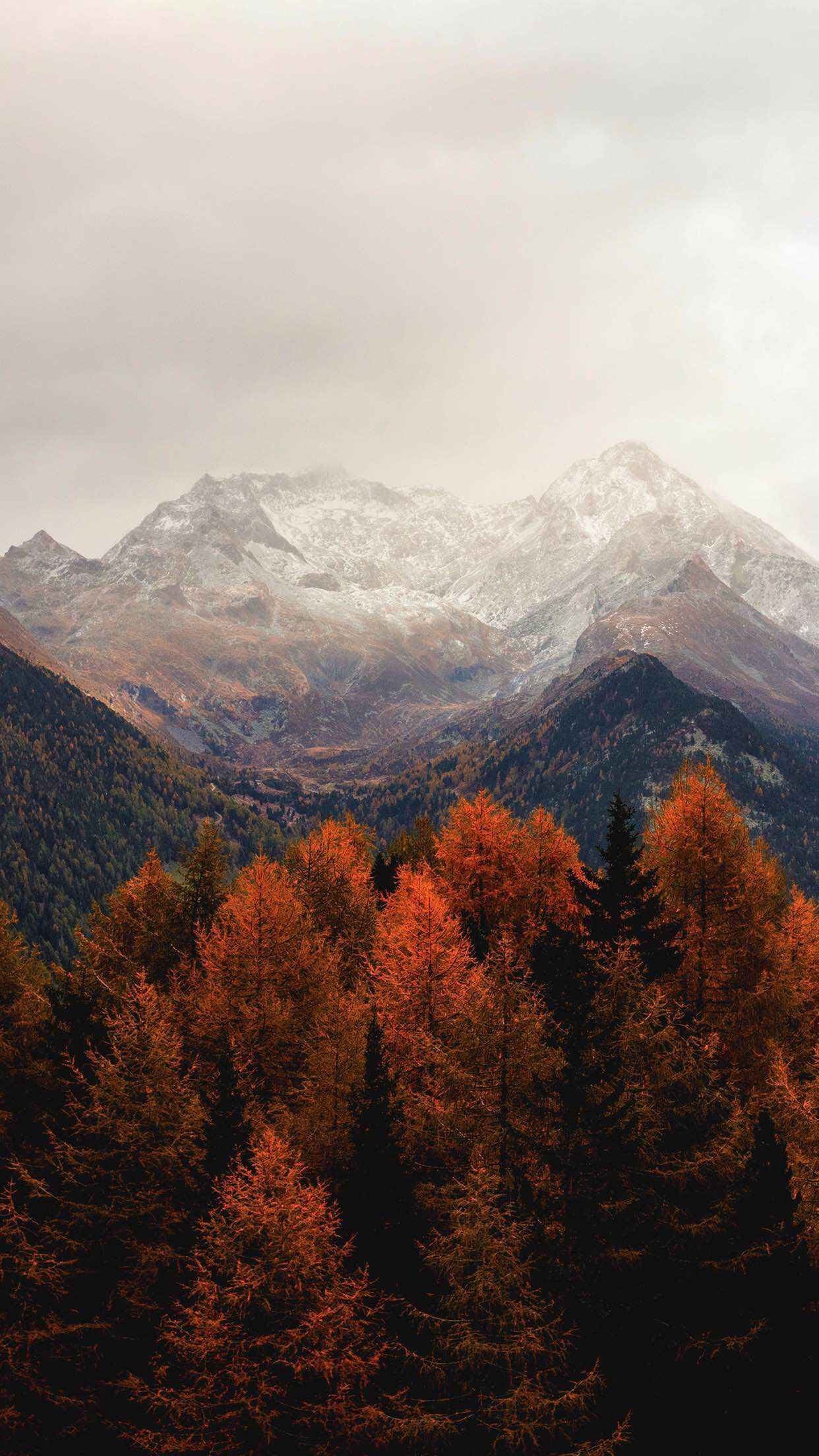Aesthetic Autumn Phone Wallpapers Wallpaper Cave