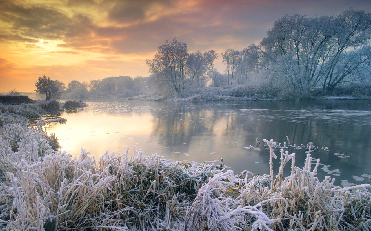 Surprised by Beauty: Frosty Mornings