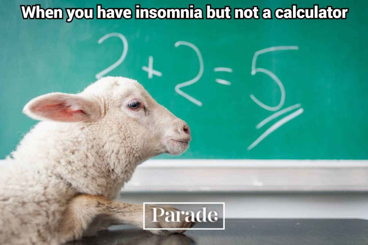 Math Memes That Are Funny and Relatable: Entertainment, Recipes, Health, Life, Holidays