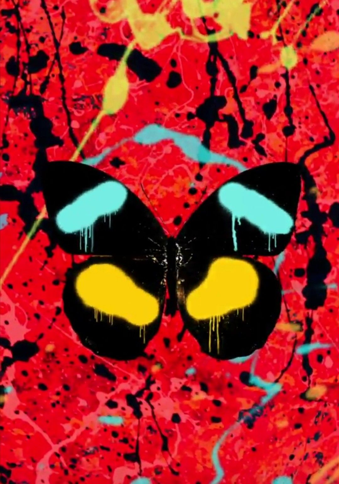 Overpass Graffiti butterfly. Beautiful wallpaper background, Graffiti, Ed sheeran