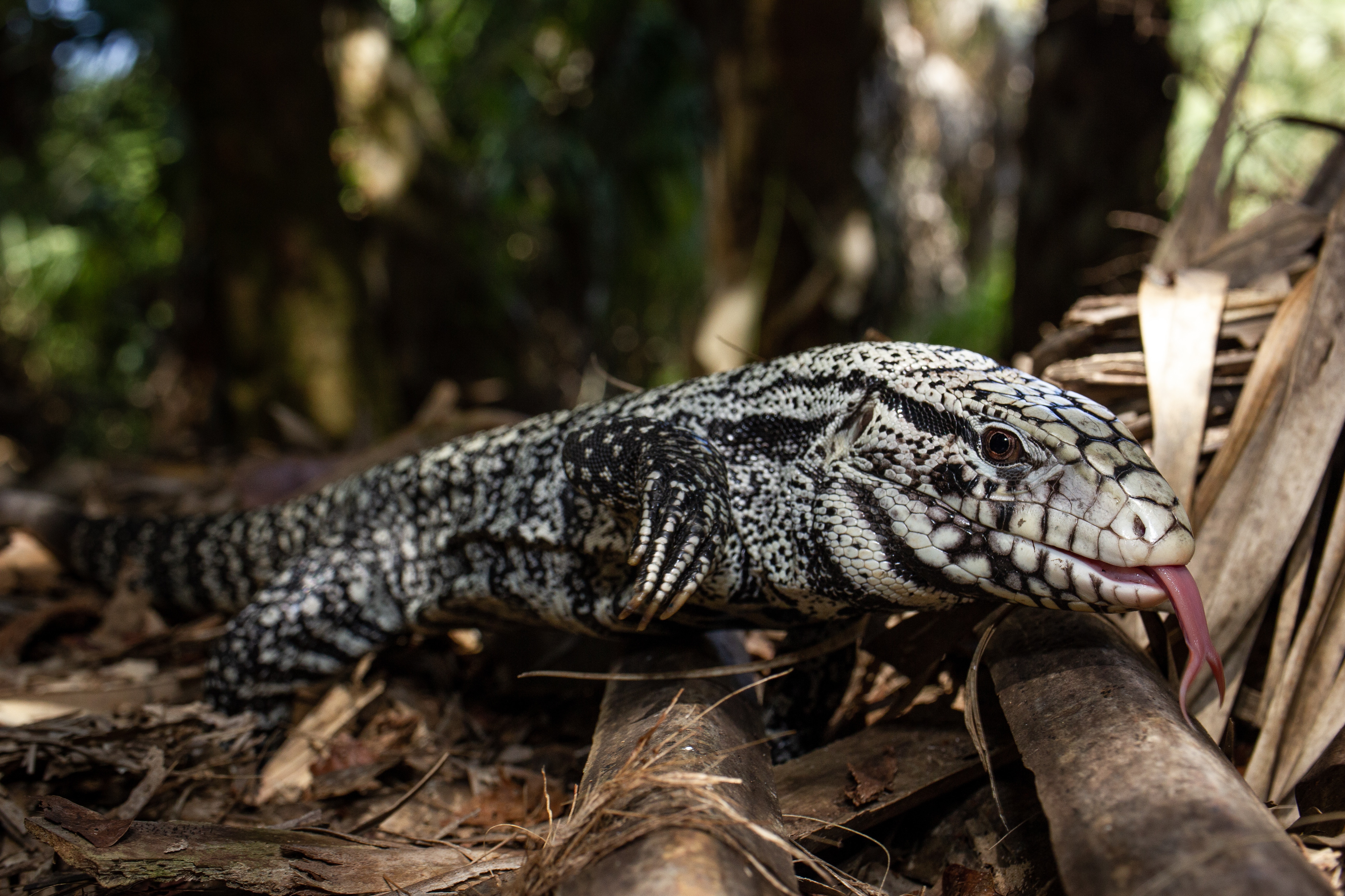 Full HD Argentine lakes Gallery HD Wallpaper