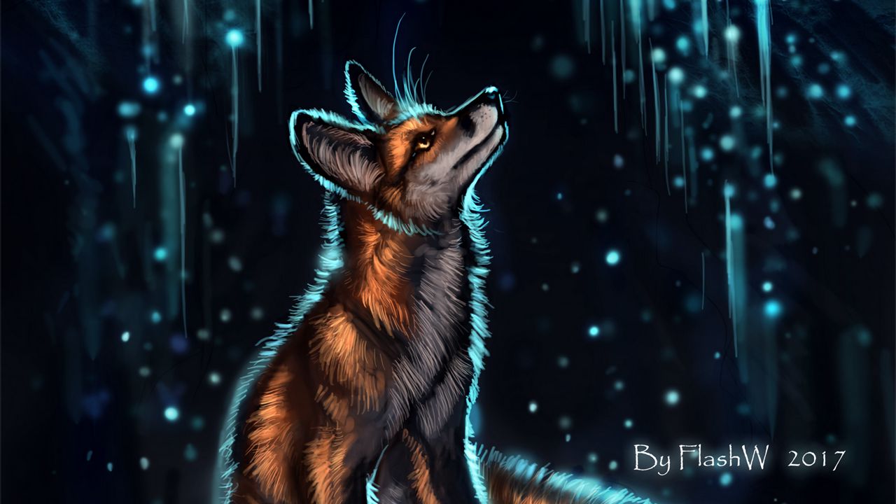 Wallpaper fox, glow, glare, art, night hd, picture, image