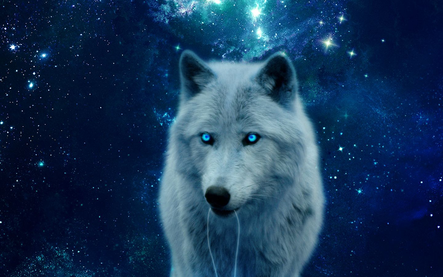 Download wallpaper 1440x900 wolf, hill