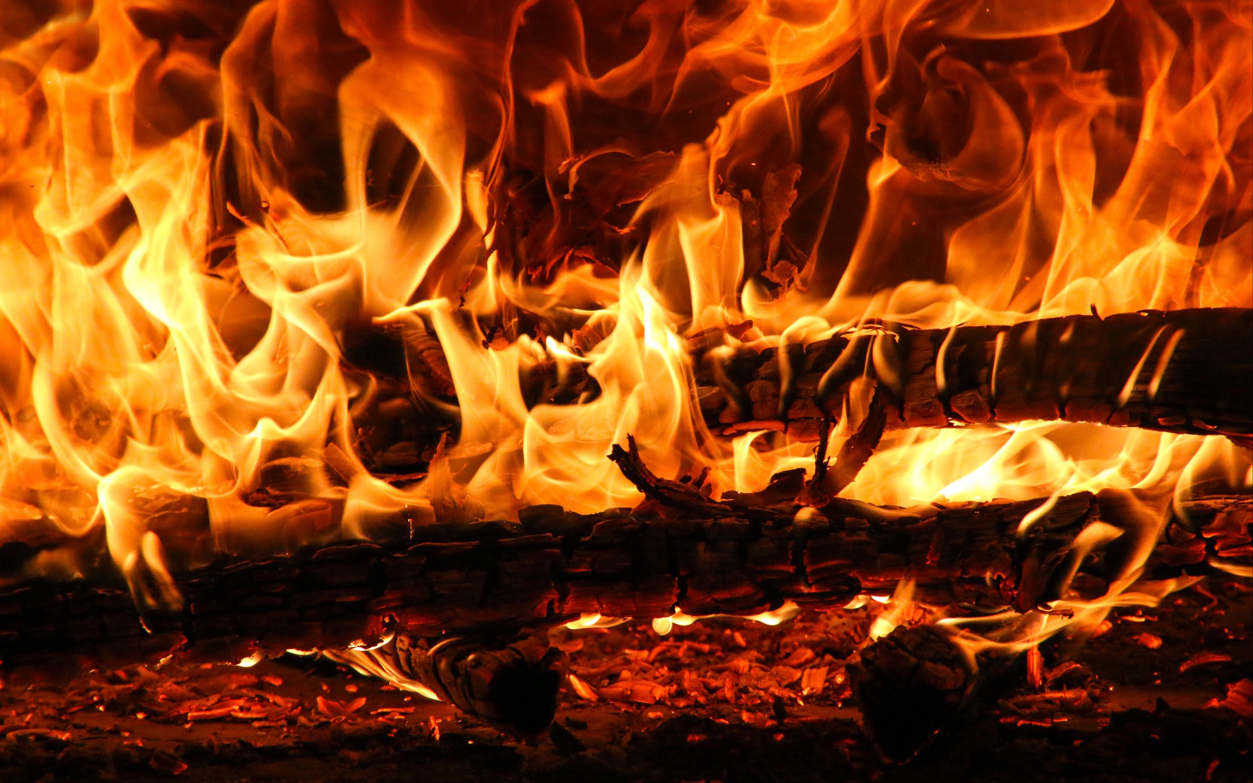 Download wallpaper 2560x1600 bonfire, fire, embers, ash, flame, dark widescreen 16:10 HD background