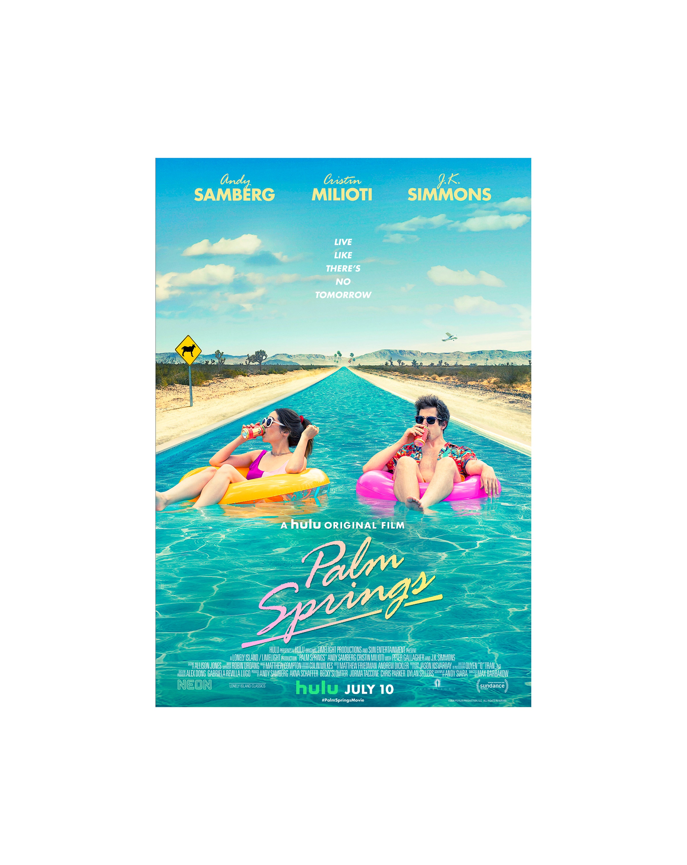 Palm Springs Movie Poster Glossy High Quality Print Photo Wall