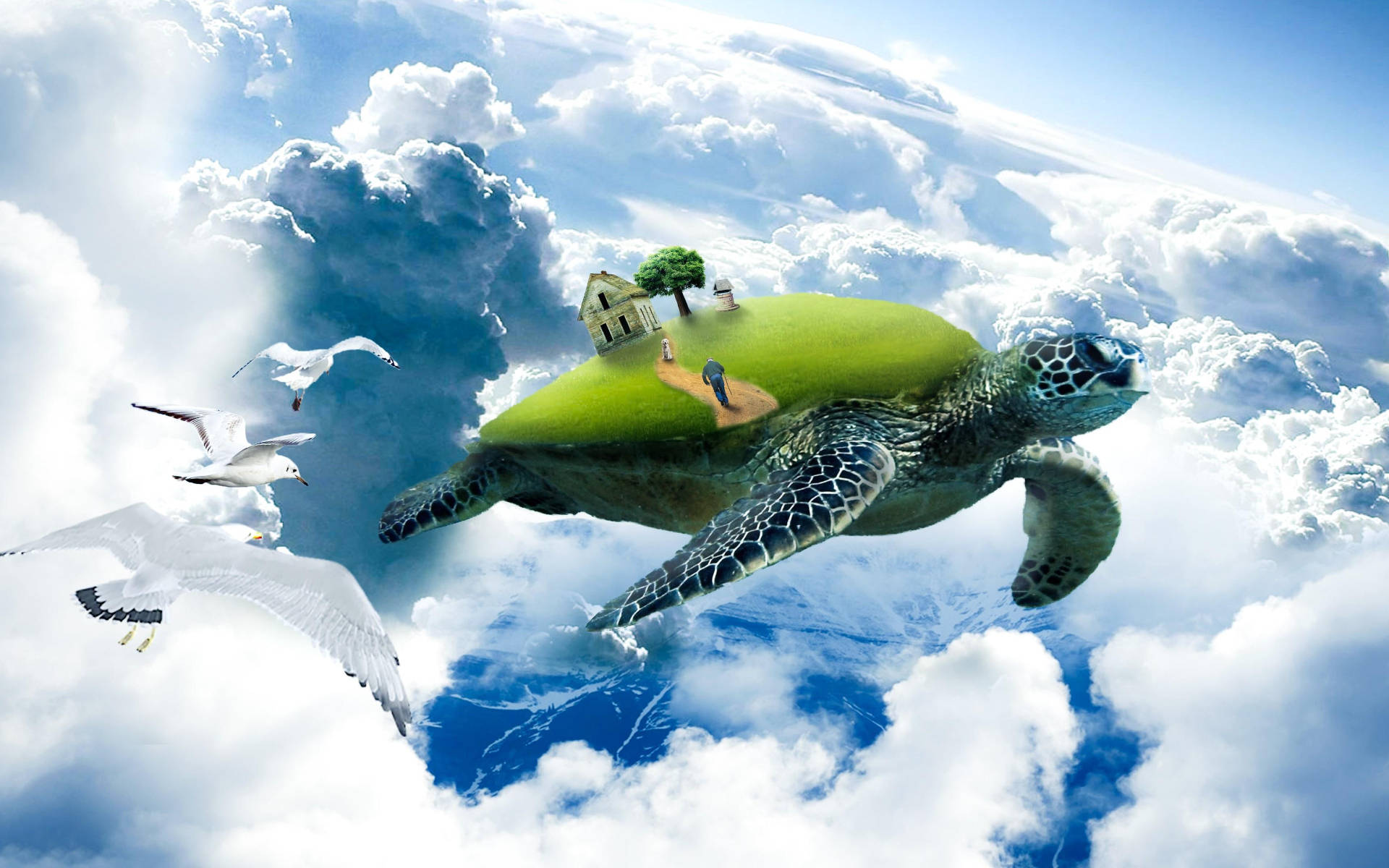 Download Cool Turtle Flying Above Clouds Wallpaper