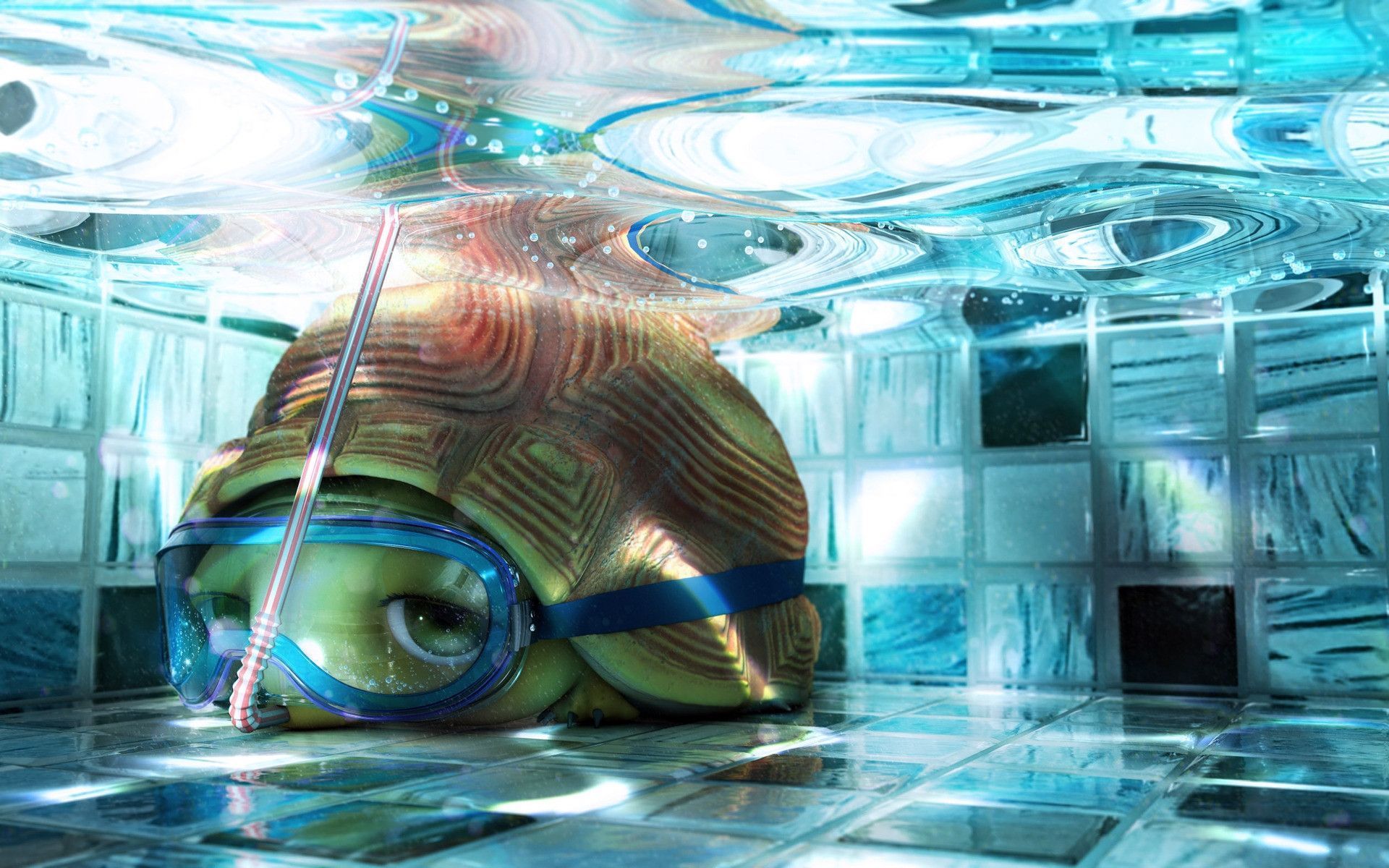 Cute Cartoon Turtle Wallpaper & Background Beautiful Best Available For Download Cute Cartoon Turtle Photo Free On Zicxa.com Image