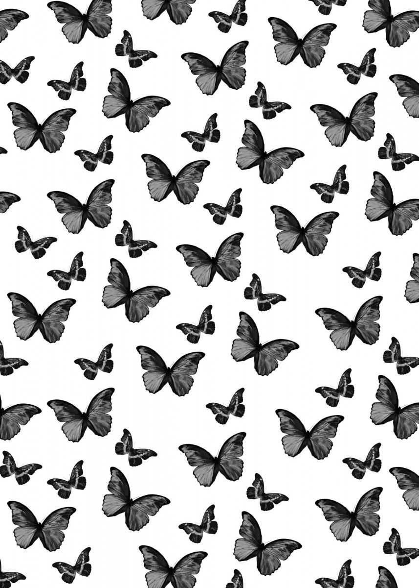 Black And White Butterfly Wallpapers - Wallpaper Cave