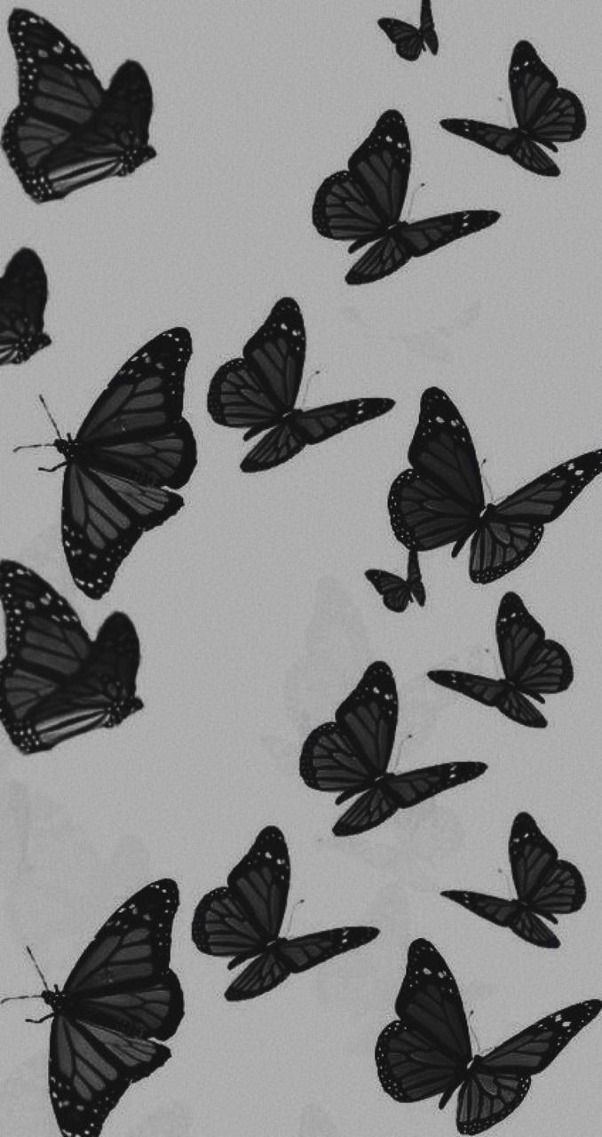 aesthetic butterflies. Изображения заката, Абстрактное, Покраска обоев