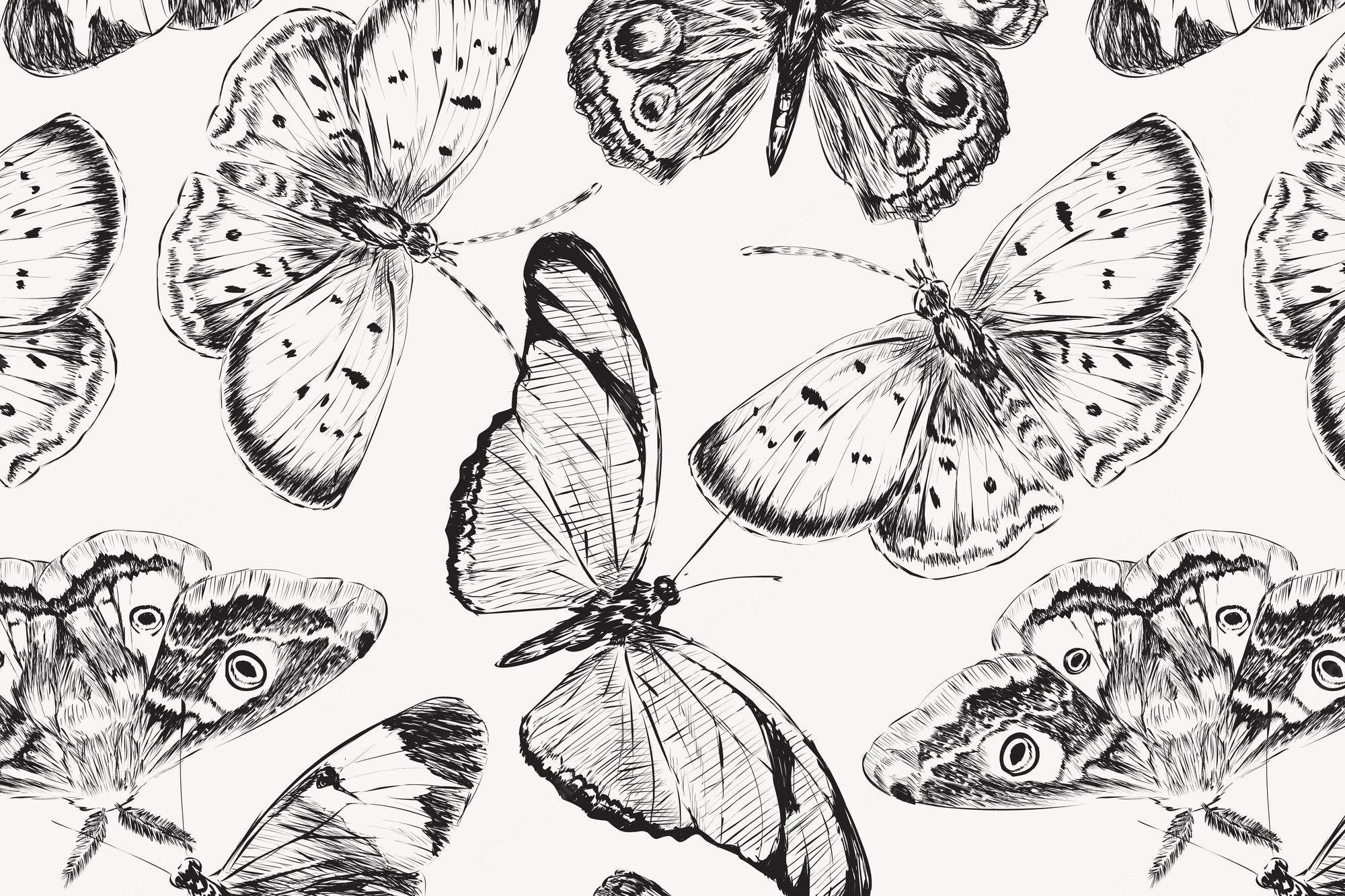 Black And White Butterfly Image. Free Vectors, & PSD