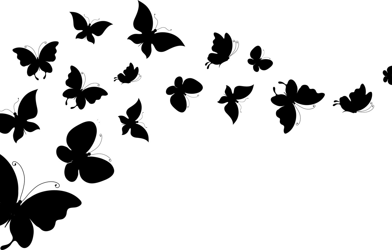 Wallpaper white, butterfly, background, wings, silhouettes image for desktop, section минимализм