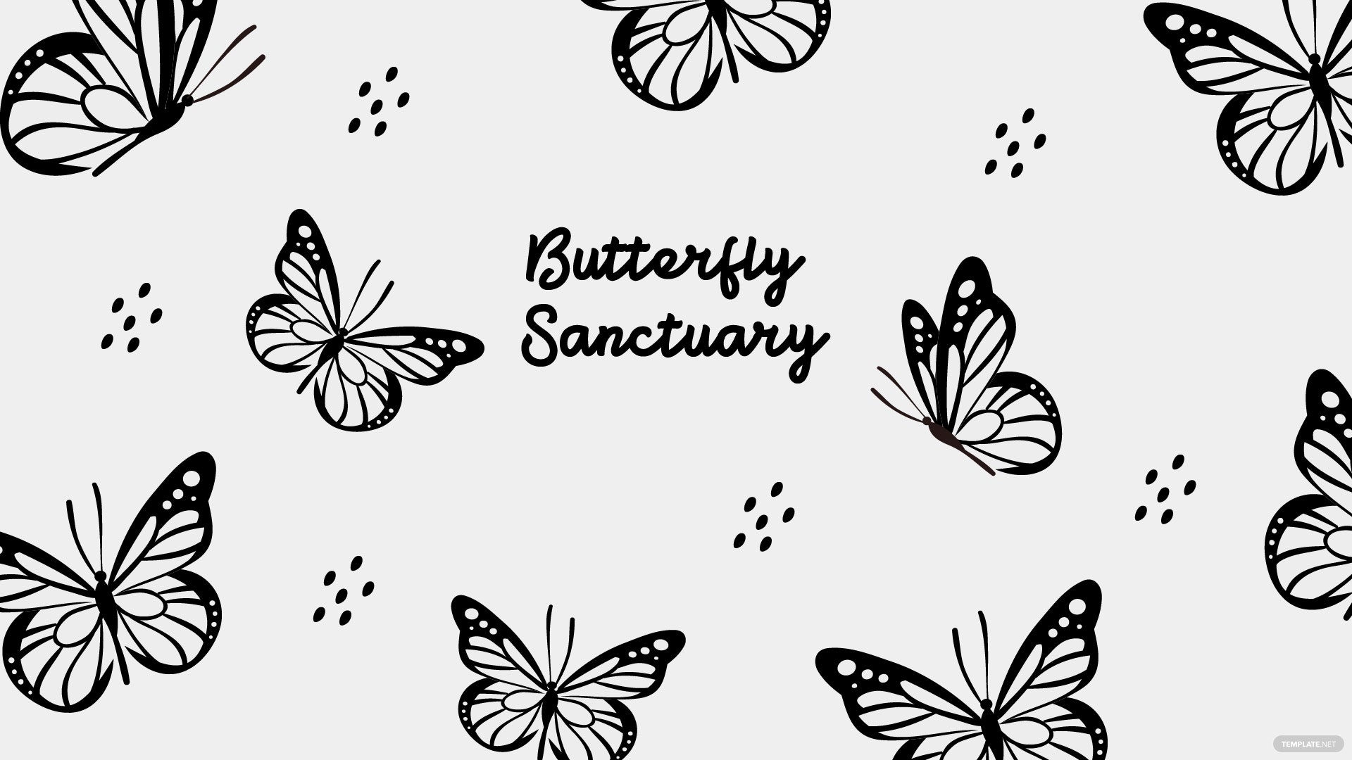 Black And White Butterfly Wallpaper