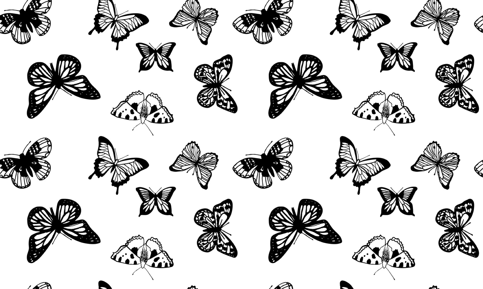Butterflies seamless pattern monochrome coloring book black and white  illustration in boho style hippie bohemian Black and white butterfly  wings on black background Textile fabric wallpaper Stock Vector by  EvaChe 114622582