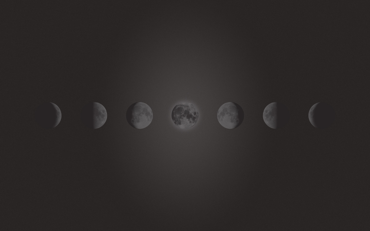 Freebie Of The Moon Wallpaper
