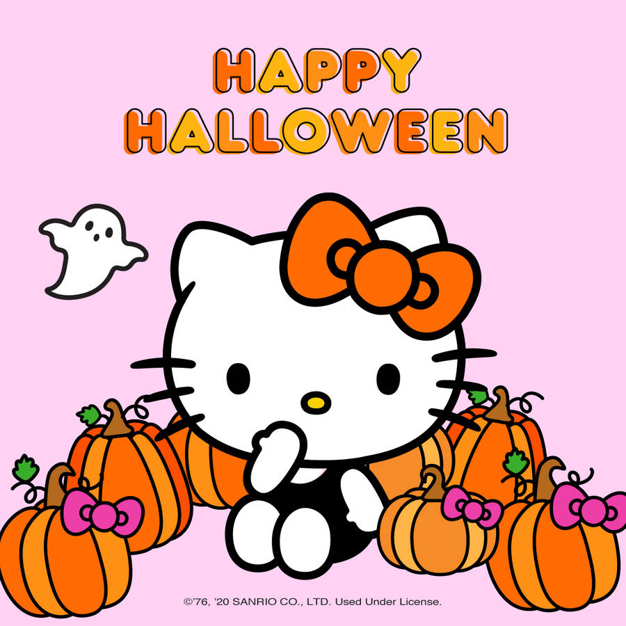 Download Hello Kitty Halloween And Pumpkins Wallpaper