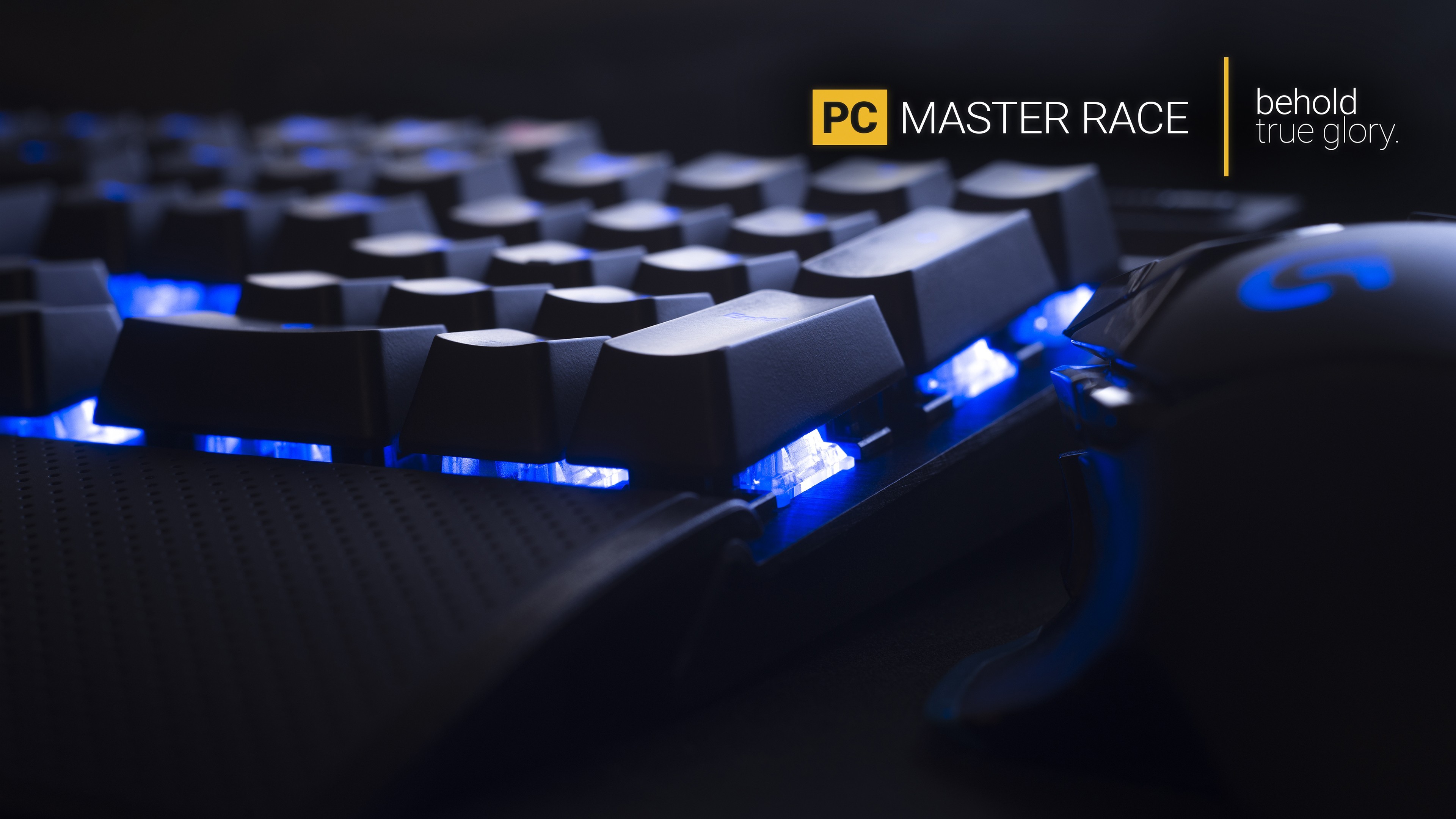 3840x2160 pc master race keyboards computer mouse computer lights typography blue digital art wallpaper JPG 682 kB Gallery HD Wallpaper