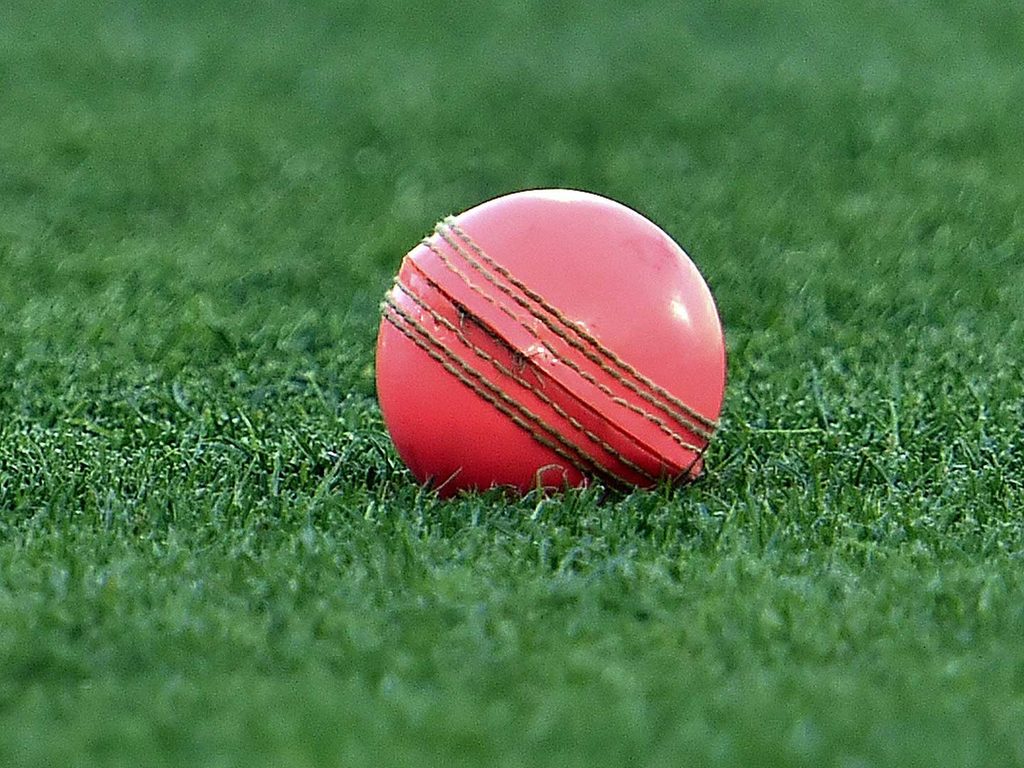 Difference between pink ball and red ball: Explained