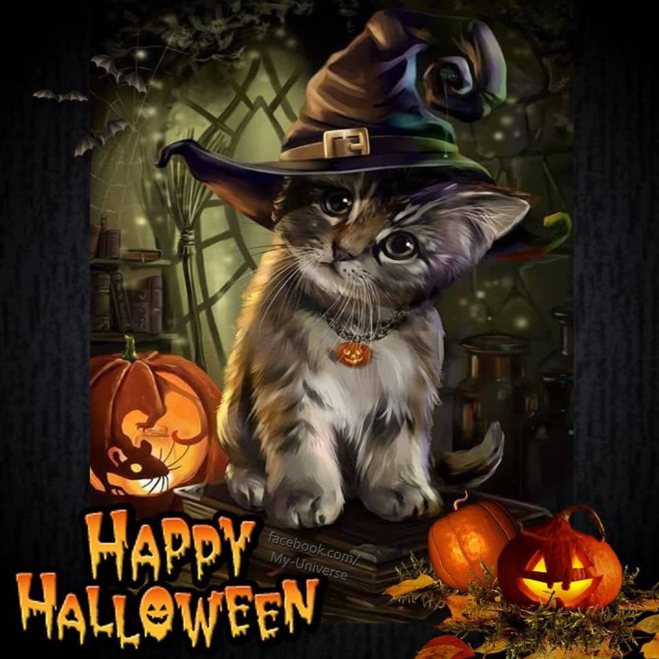 Witch Kitty Happy Halloween Picture, Photo, and Image for Facebook, Tumblr, , and Twitter