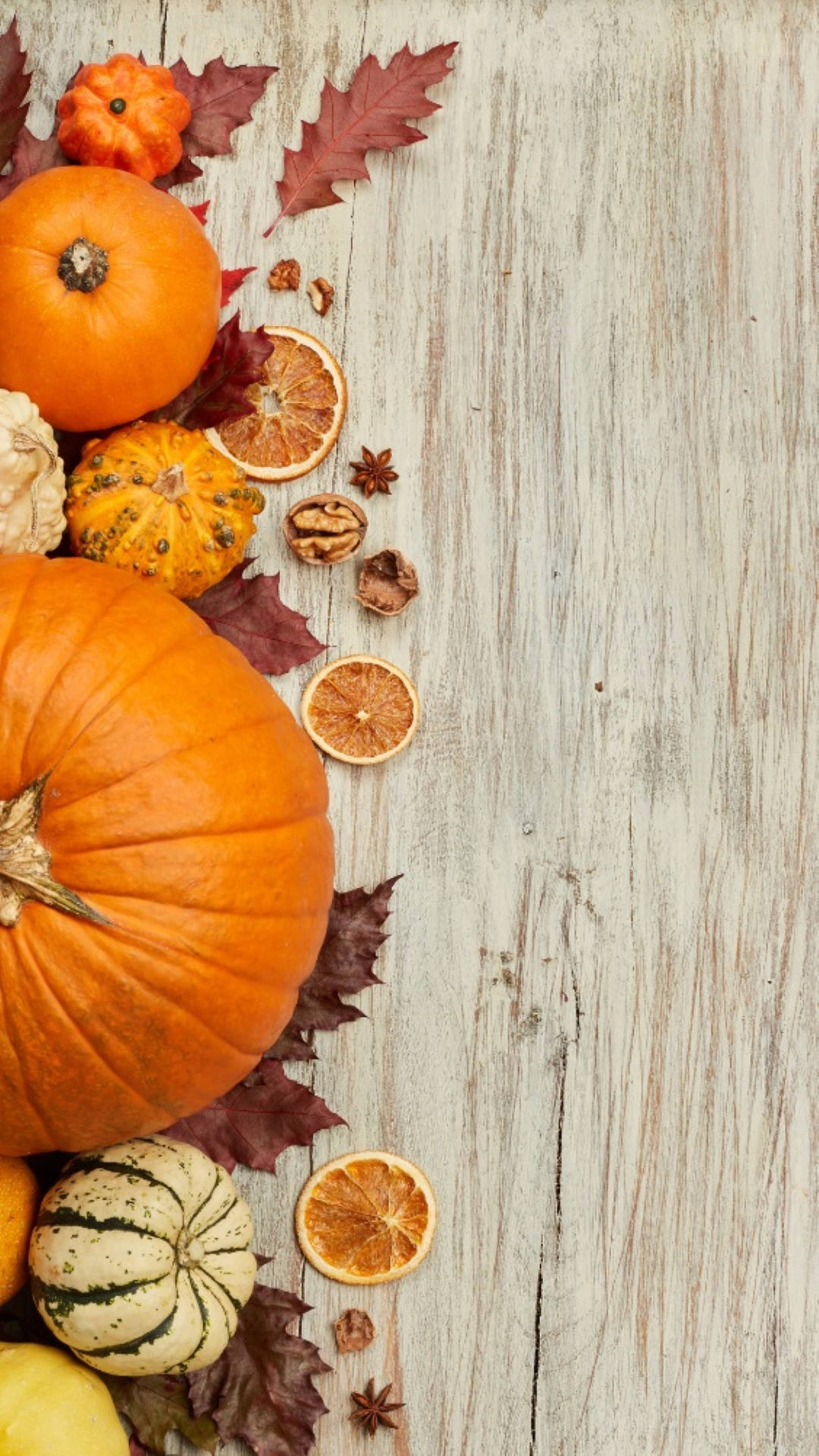 Download Fall Season Halloween Aesthetic Wallpaper