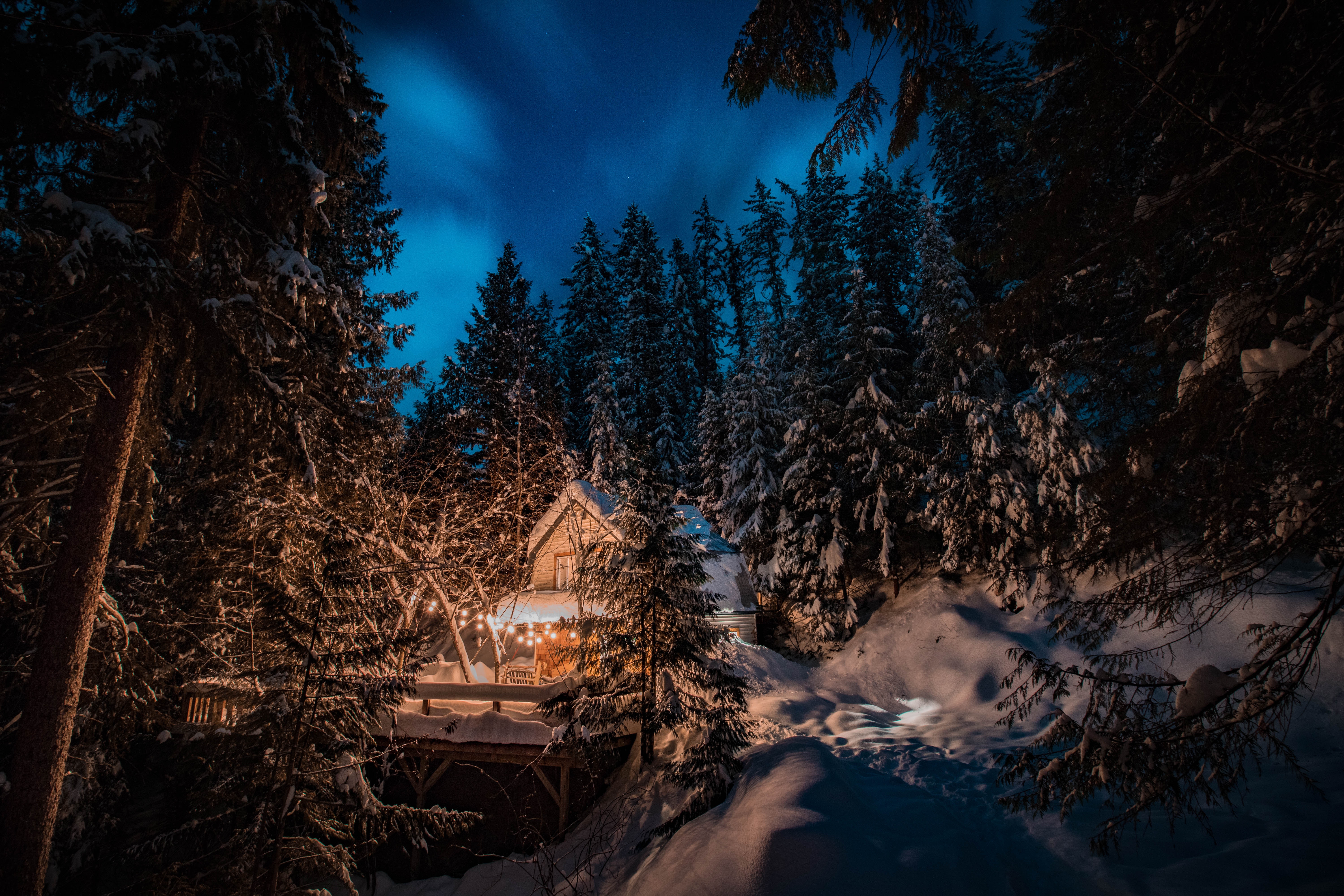 Snow Night Photo, Download Free Snow Night & HD Image