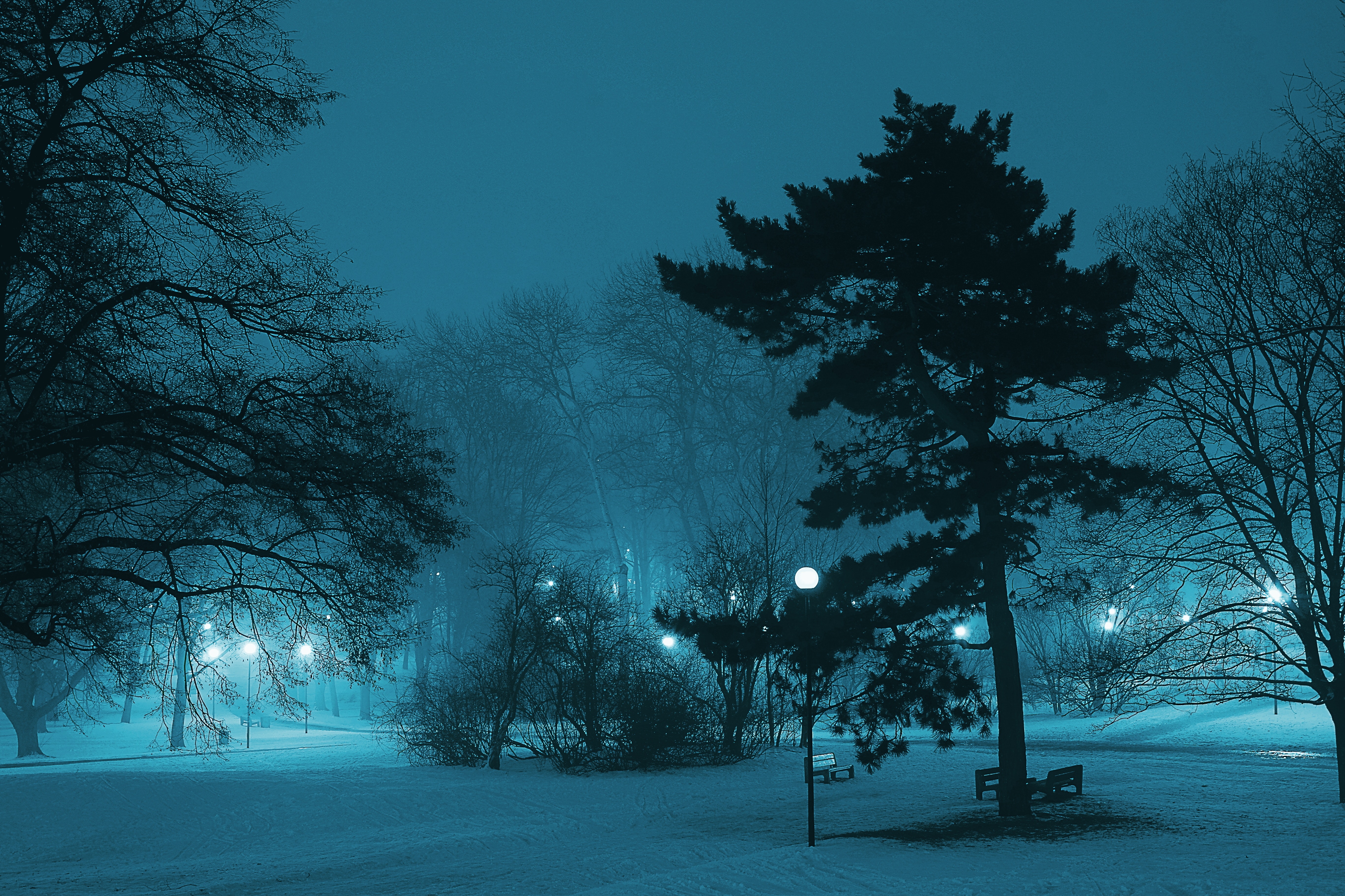 Snow Night Photo, Download Free Snow Night & HD Image